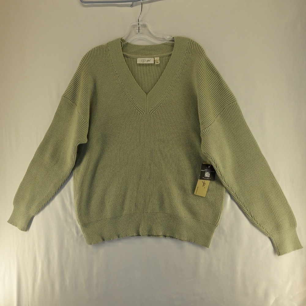 RD Style Stitch Fix Women's V-Neck knit sweater relaxed Sage color Size L NEW